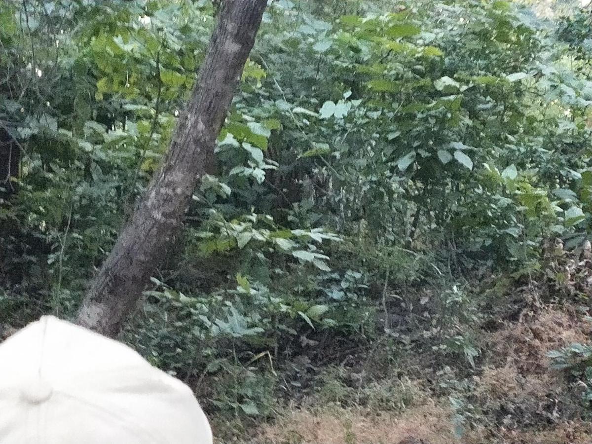 Mini Homestay 克久拉霍 外观 照片